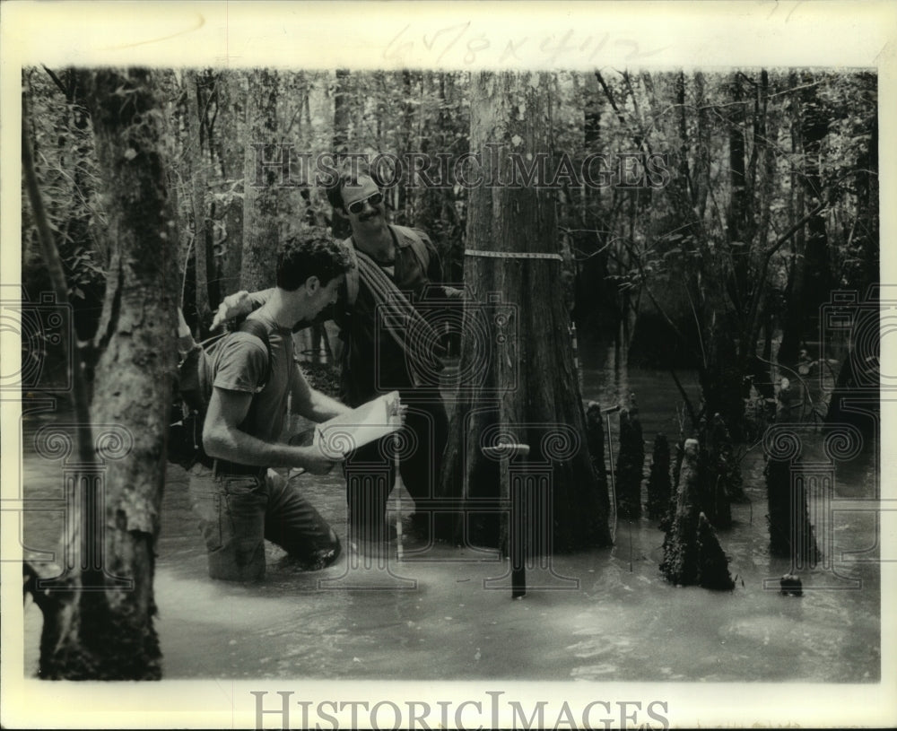 1978 Press Photo David White and Scott Norton researching on Honey Island Swamp - Historic Images