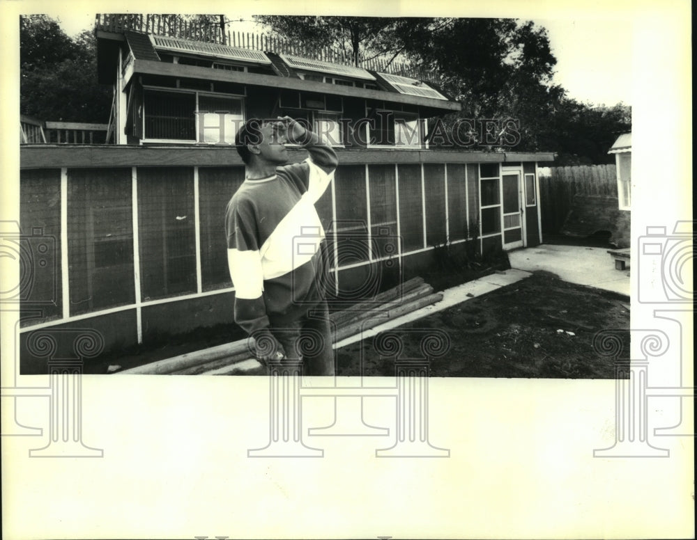 1992 Press Photo Lancier Waldo Slie looks out into the sky- Homing Pigeons - Historic Images