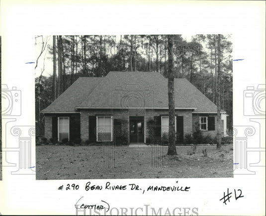 1991 Press Photo Large trees surround this large home in Mandeville - nob36171 - Historic Images
