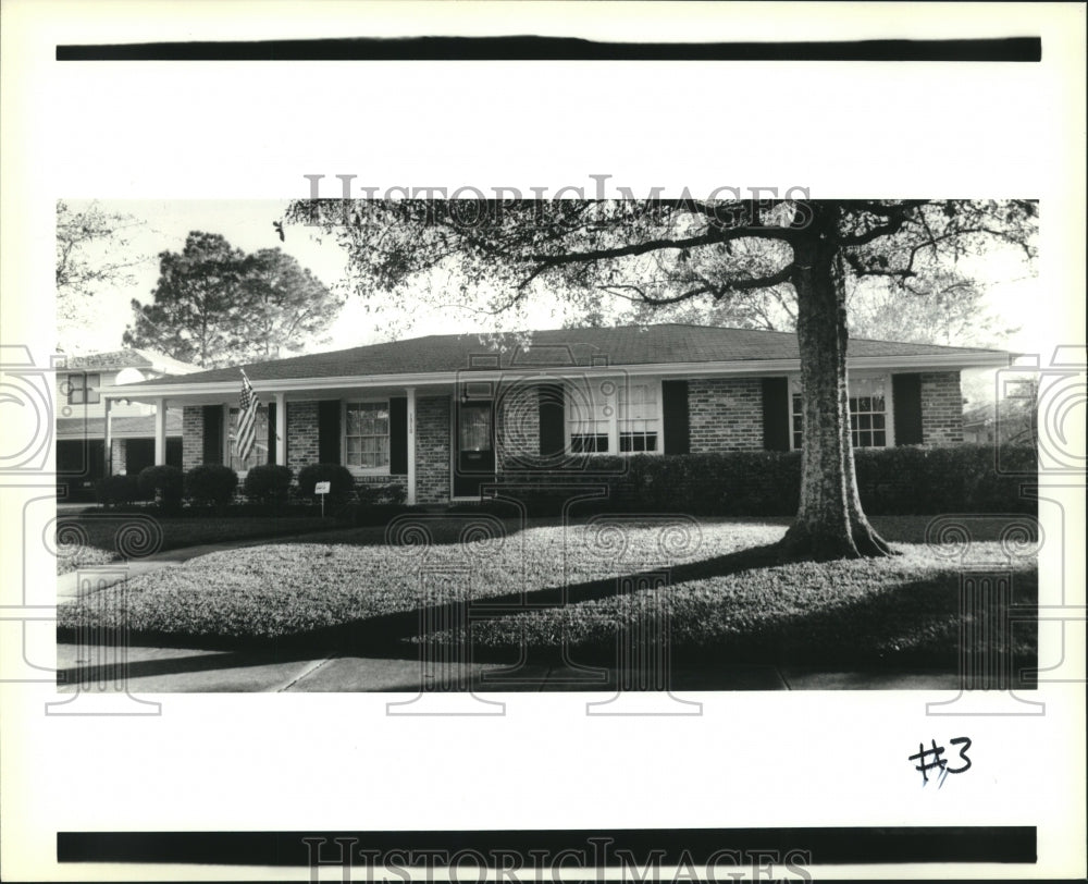 1991 Press Photo House Mug - 1310 Frankfort Gentilly - Historic Images