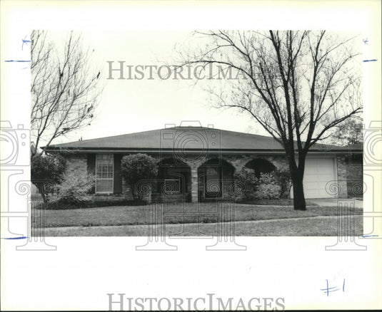 1991 Press Photo House mug - 277 Cottonwood in Harvey - Historic Images