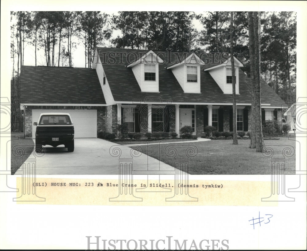 1991 Press Photo Exterior of the house located at Blue Crane in Slidell - Historic Images