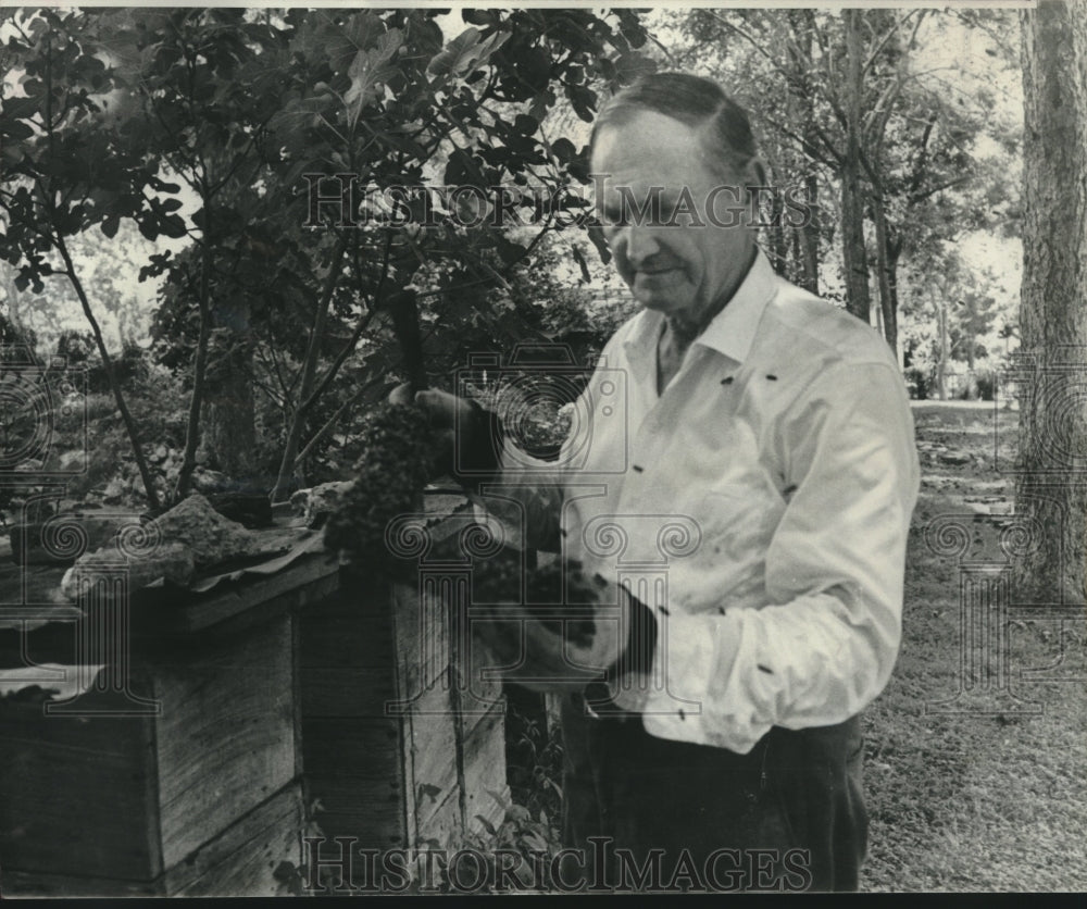 1977 Press Photo Toby Hurst, Beekeeper, New Roads, Louisiana - nob36921 - Historic Images