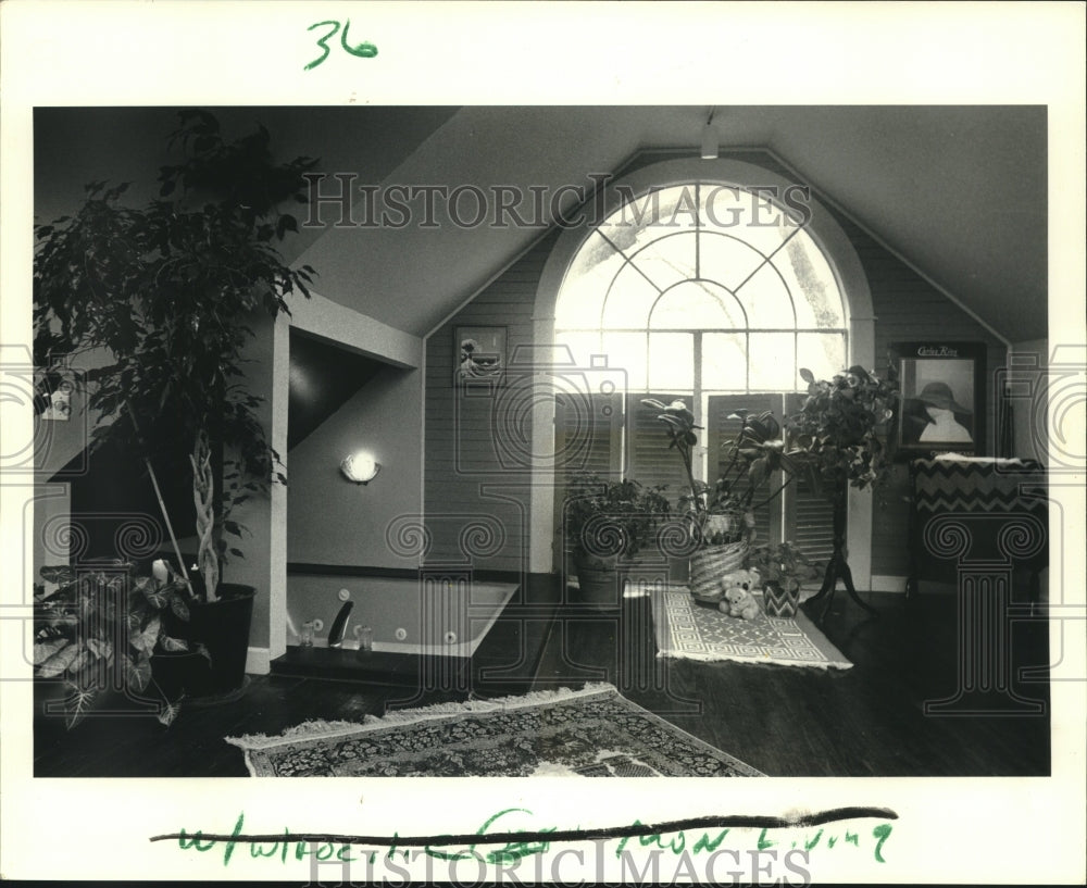 1987 Press Photo Upper room combines hot tub, kitchenette, bed and bath - Historic Images