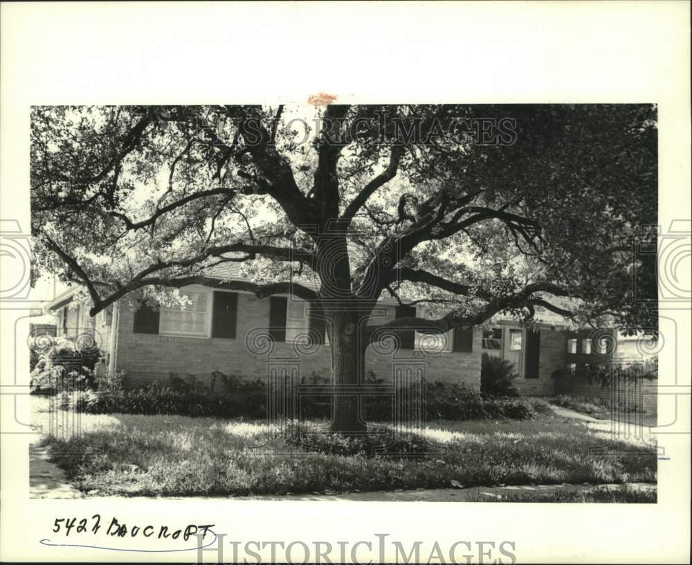 1988 Press Photo Property at 5427 Baucroft - nob37856 - Historic Images