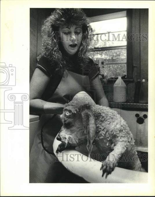 1988 Press Photo Leslie Jacob of LaPlace Pet Shop bathes white poodle "Peppy" - Historic Images