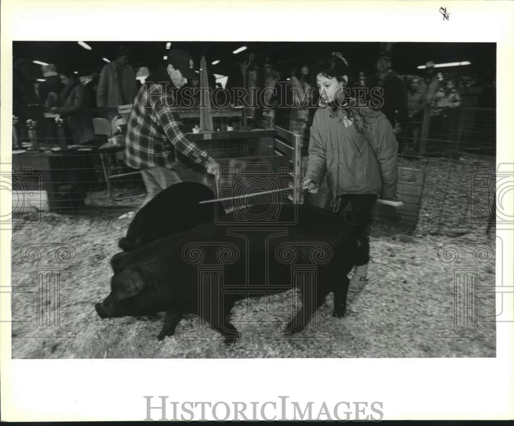 1991 Press Photo St. Tammany Livestock Show participant maneuvers &quot;Fannie Mae&quot; - Historic Images