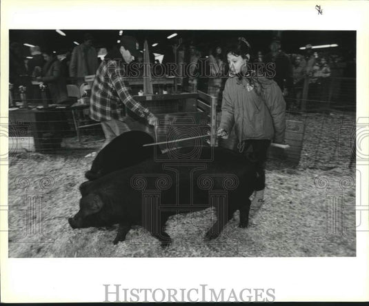 1991 Press Photo St. Tammany Livestock Show participant maneuvers "Fannie Mae" - Historic Images