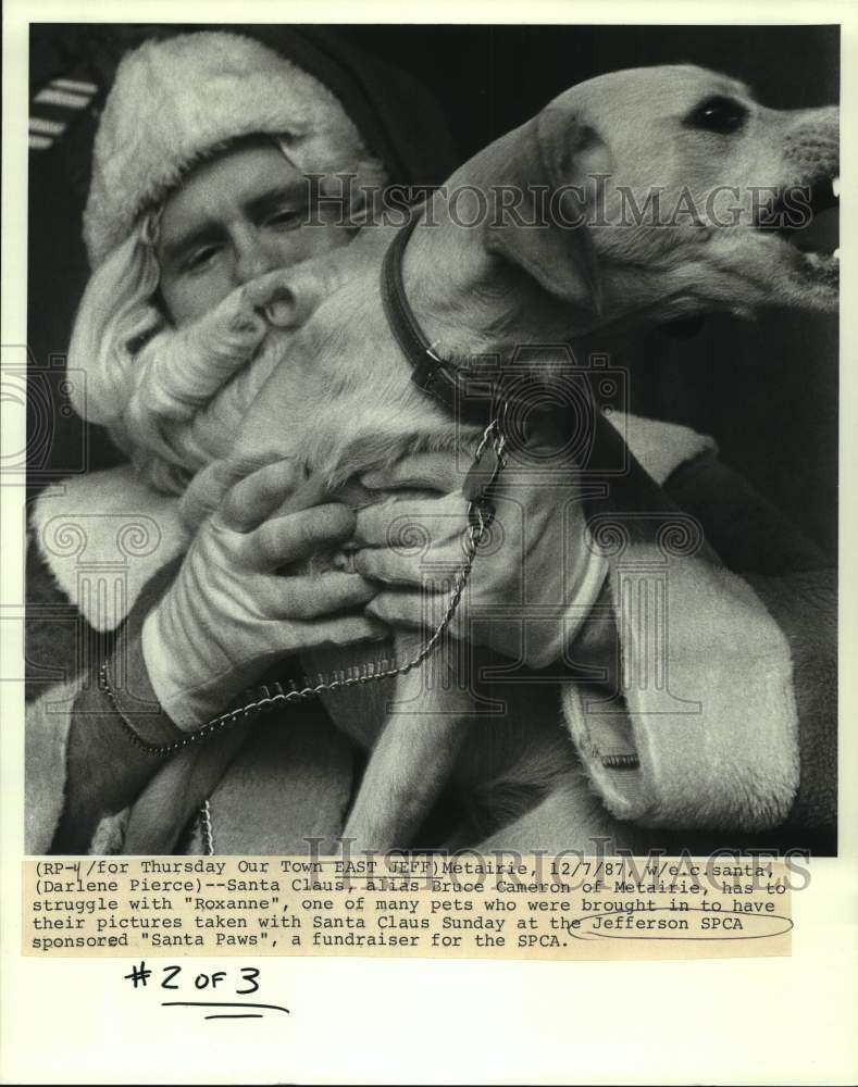 1987 Press Photo Santa Claus Bruce Cameron with one of the pets at Santa Paws - Historic Images