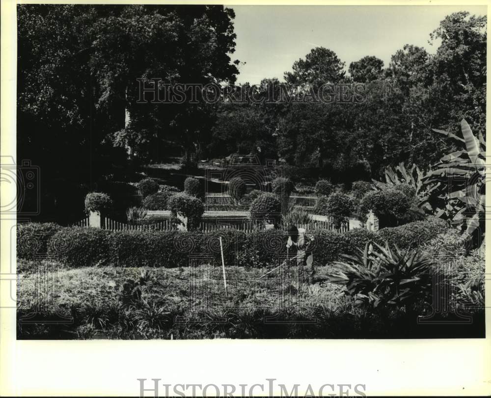 1991 Press Photo General view of Live Oak Garden Jefferson Island - Historic Images