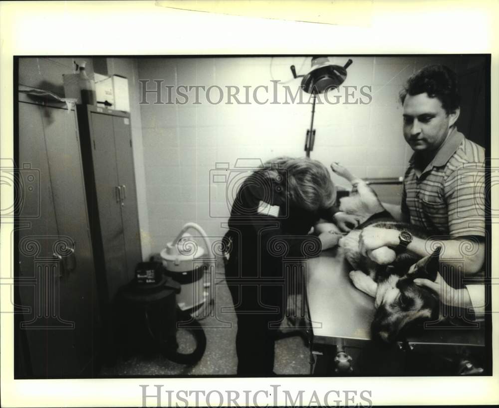 1994 Press Photo Norma Uluduz talkes out stitches from dog while owner holds her - Historic Images