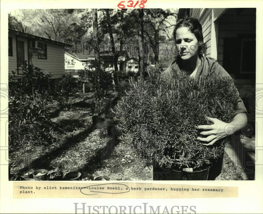 1986 Press Photo Louise Hoehl, an herb gardener hugging her rosemary plant. - Historic Images