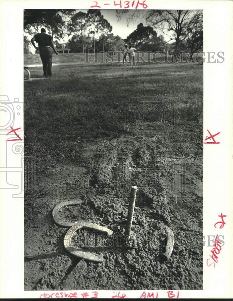 1988 Press Photo Horseshoes surround spike during competition at Lakefront - Historic Images