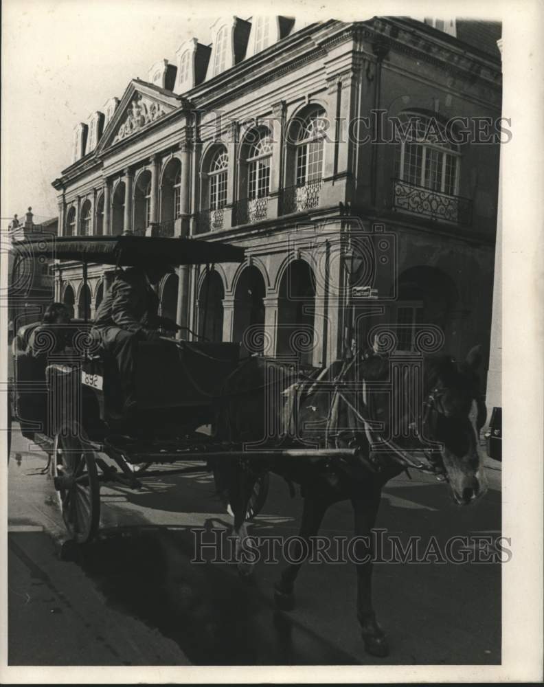 1970 Horse and buggy transport citizens and tourists in New Orleans. - Historic Images