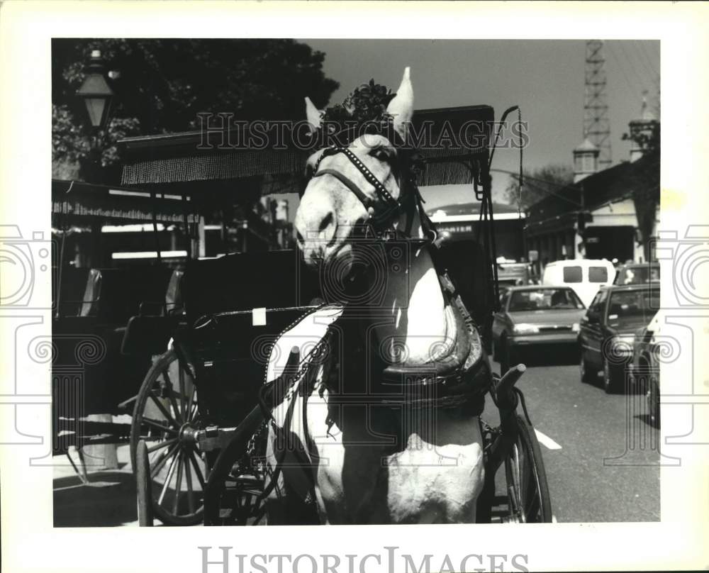 1992 Press Photo Horse-drawn carriage double parked, Decatur Street New Orleans - Historic Images