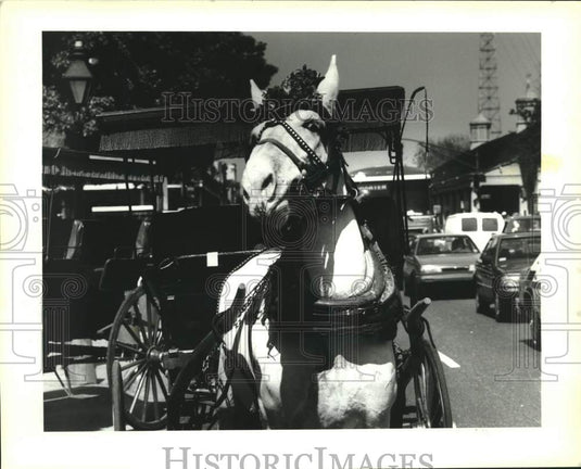 1992 Press Photo Horse-drawn carriage double parked, Decatur Street New Orleans - Historic Images