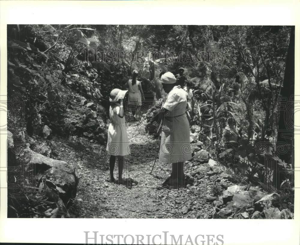 1991 Press Photo Winding road in the Jamaican mountains near ancient caves - Historic Images