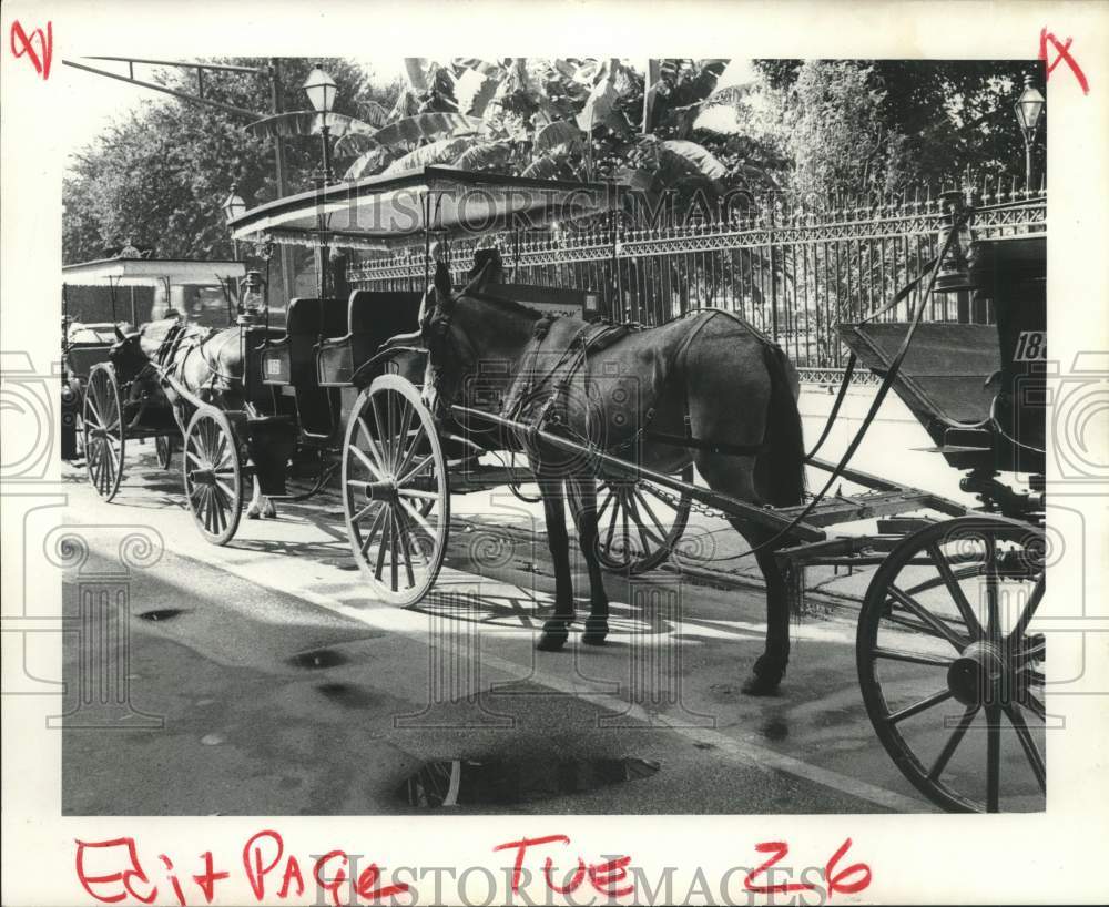 1971 Horse and buggy at the street - Historic Images