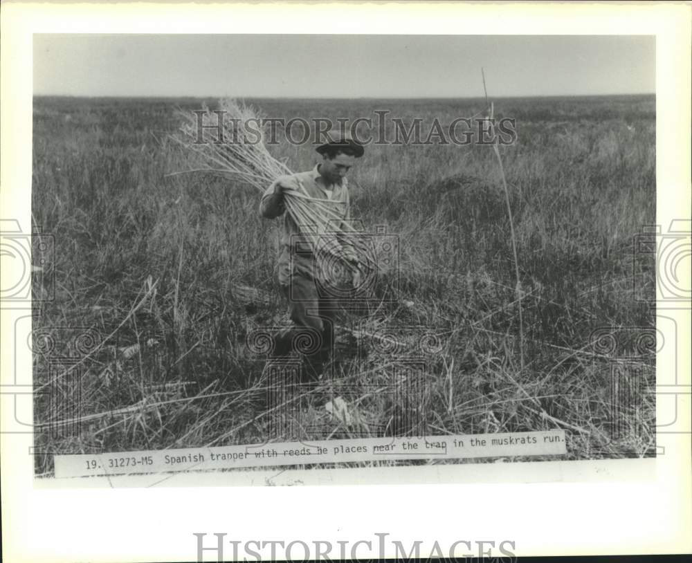 1991 Press Photo Islenos people - Spanish trapper with reeds he places near trap - Historic Images