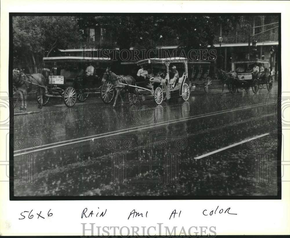 1993 Press Photo Horse and Buggy Carriages Give Tours in Rain, French Quarter - Historic Images