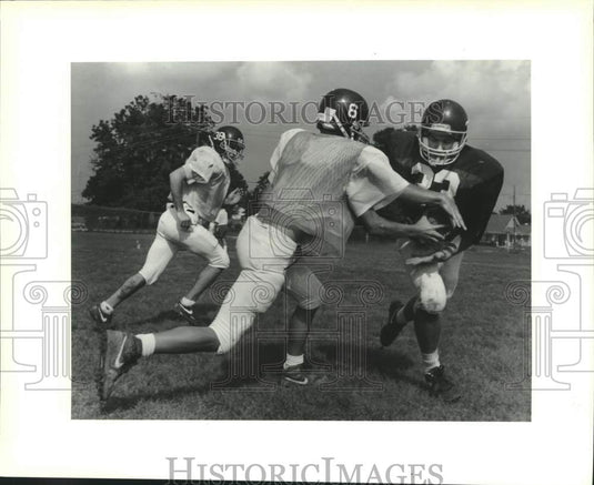 1991 Press Photo Ross Kael