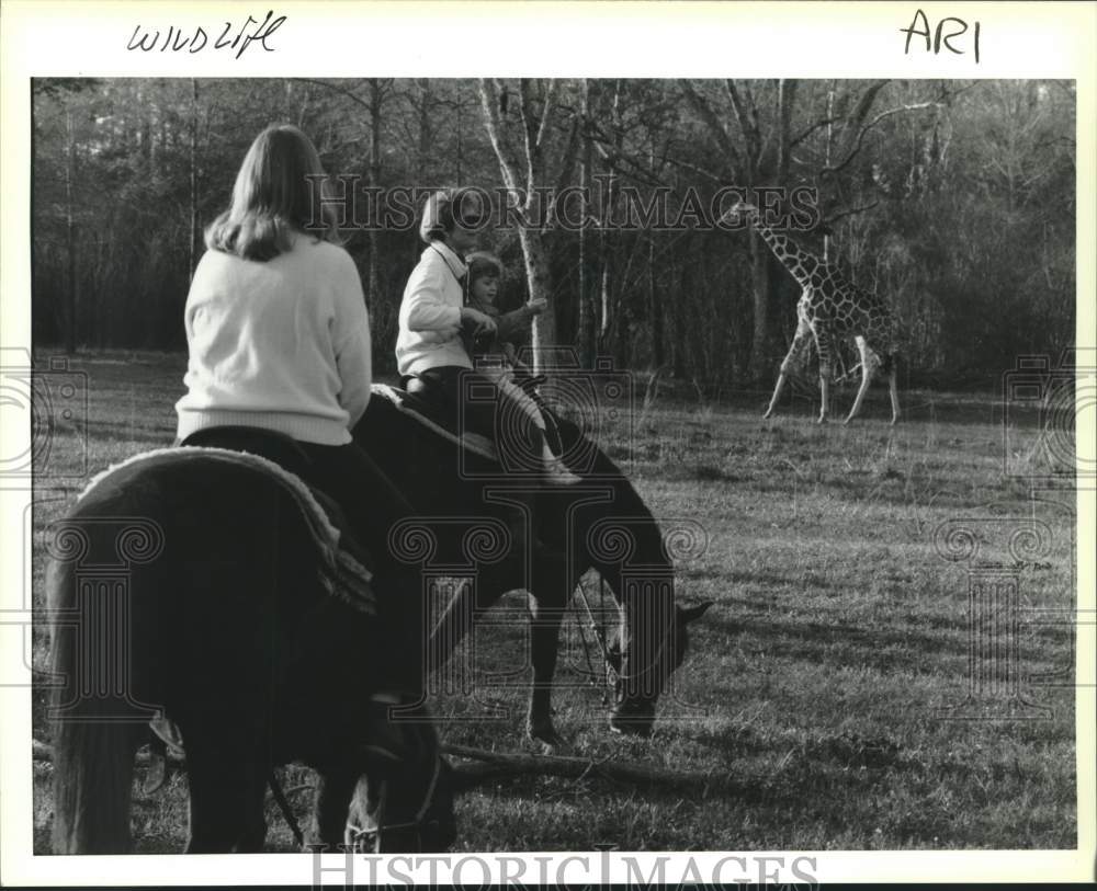 1993 Press Photo Photographer Ariane Kadoche rides a horse at Wildlife Center - Historic Images