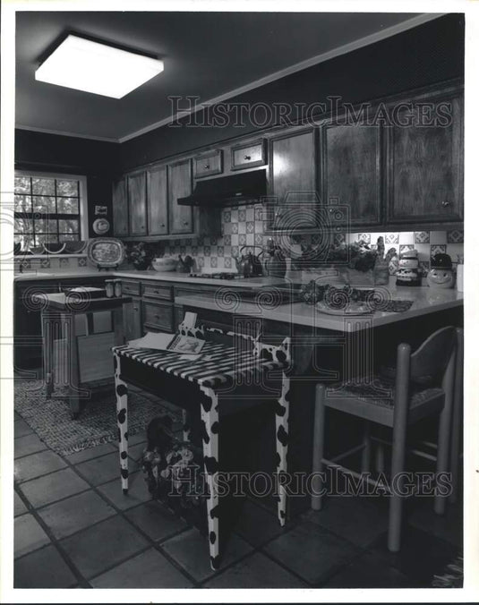 1993 Press Photo Who says a kitchen can't sport a sense of humor? - Historic Images