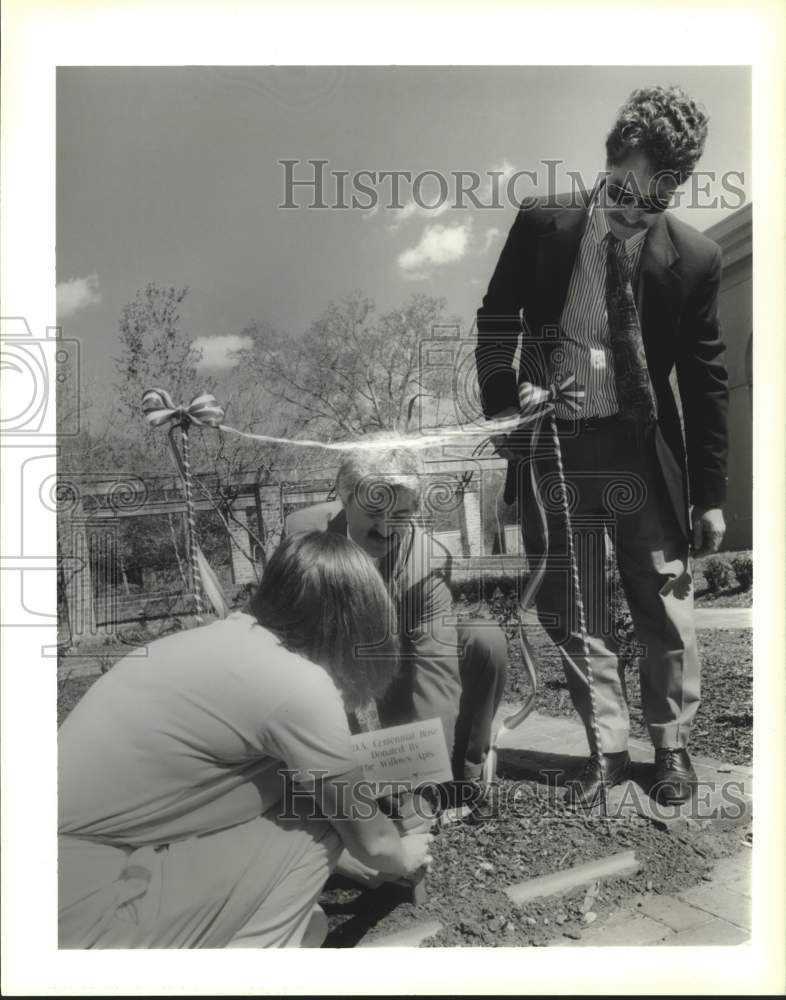 1996 Press Photo Volunteers Of America&#39;s Centennial Rose at Botanical Gardens - Historic Images