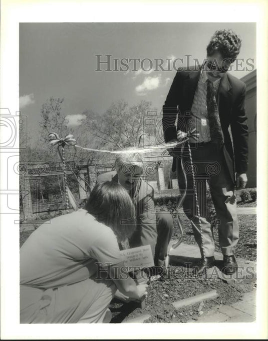1996 Press Photo Volunteers Of America's Centennial Rose at Botanical Gardens - Historic Images