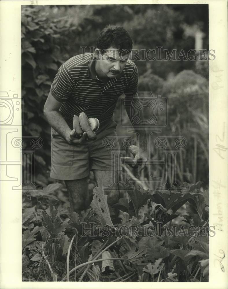 1986 Press Photo Michael Huber, picking vegetables - Historic Images