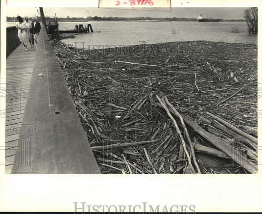 1989 Press Photo Buckets and bottles jam against shoreline at LaSalle's Landing - Historic Images