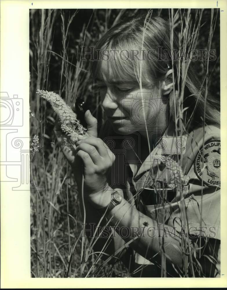 1989 Press Photo Botanist Nelwyn Gilmore inspecting a death camas flower - Historic Images