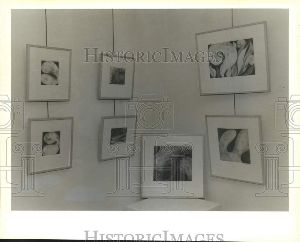 1991 Press Photo Art-Elizabeth Jackson&#39;s gouache on paper pieces at St. Tammany. - Historic Images