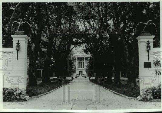 1994 Press Photo The main entrance to Longue Vue with alley of live oaks - Historic Images
