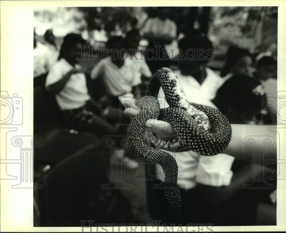 1995 Press Photo Louisiana Nature and Science Center instructor shows king snake - Historic Images