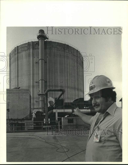 1988 Press Photo Cooling Tower at Louisiana Power & Light Company's Waterford 3 - Historic Images