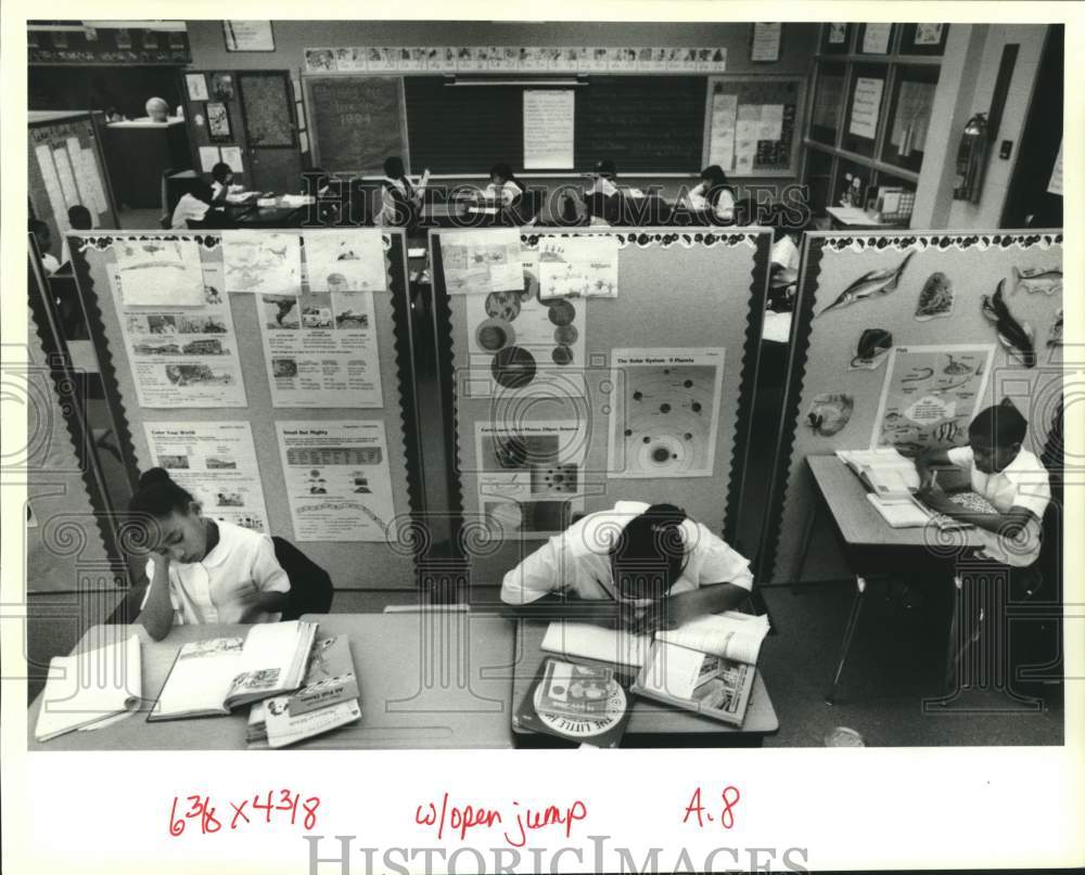 1994 Press Photo Patty Blair&#39;s third grade class at Little Woods Elementary - Historic Images