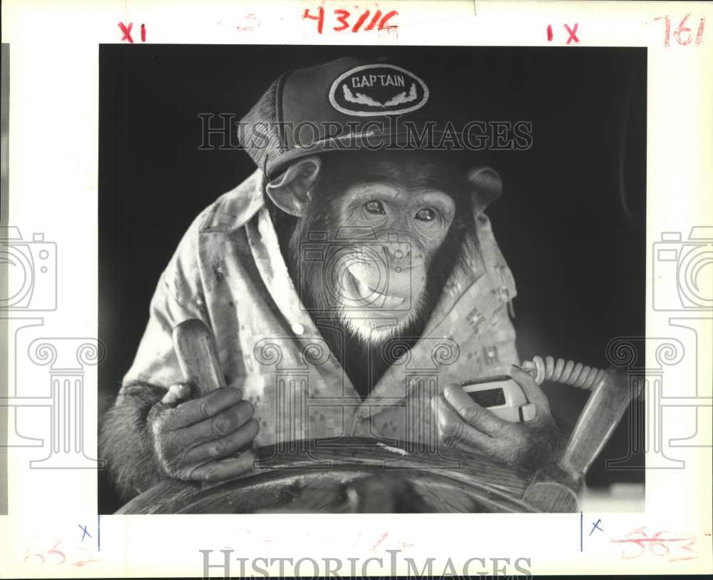 1989 Press Photo Chimpanzee Sally at filming of LP&amp;L public safety commercial - Historic Images