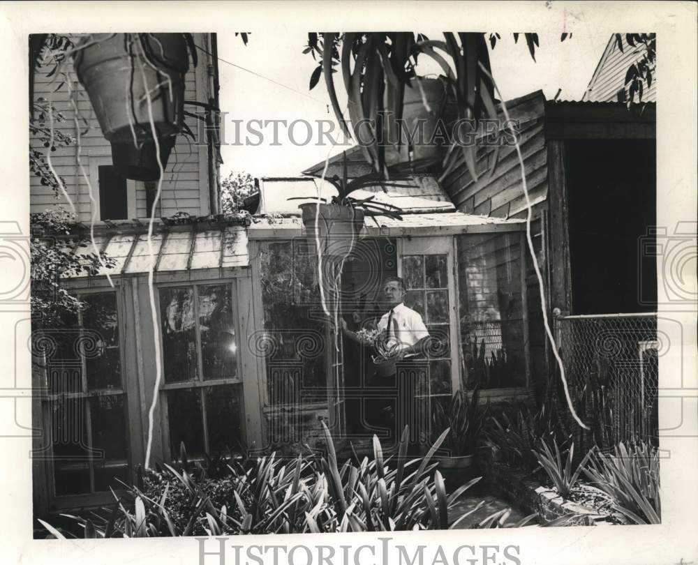 1963 Press Photo Orchidist moves plants outside into shade of backyard trees - Historic Images