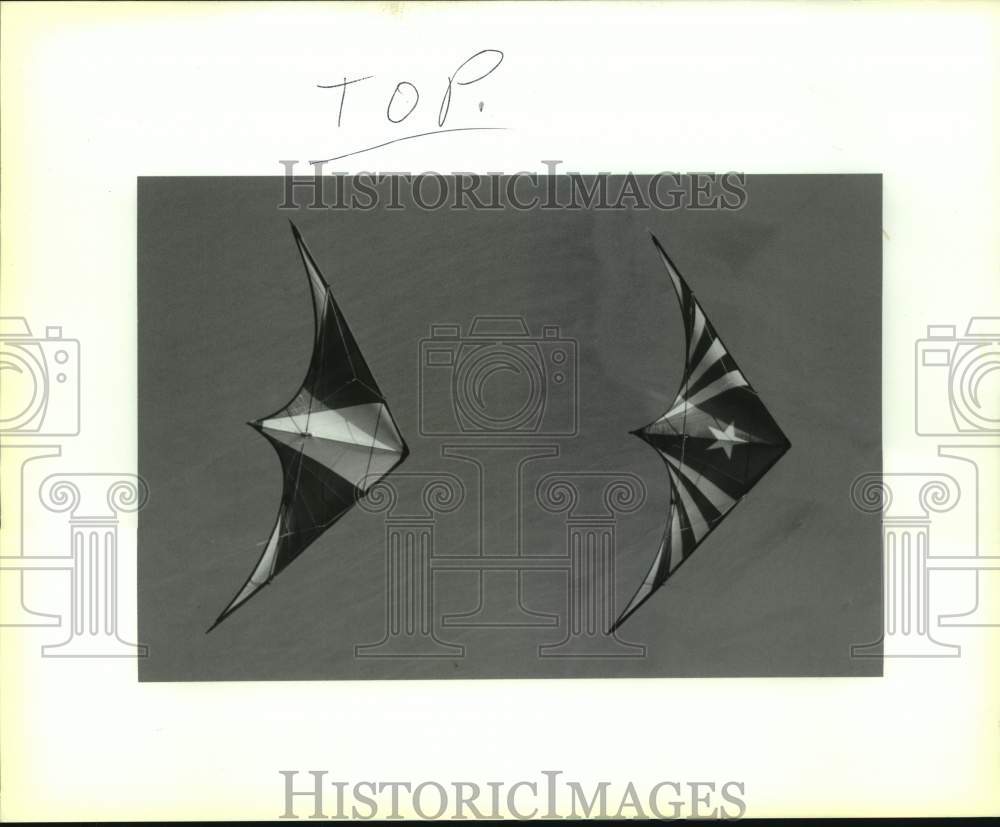 1992 Press Photo Crescent City Kite Flyers at Bonnabel Boat launch - Historic Images