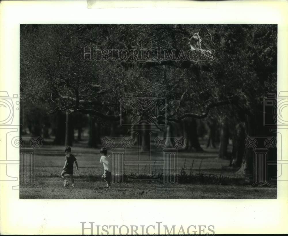 1993 Press Photo Kite Flying - Historic Images