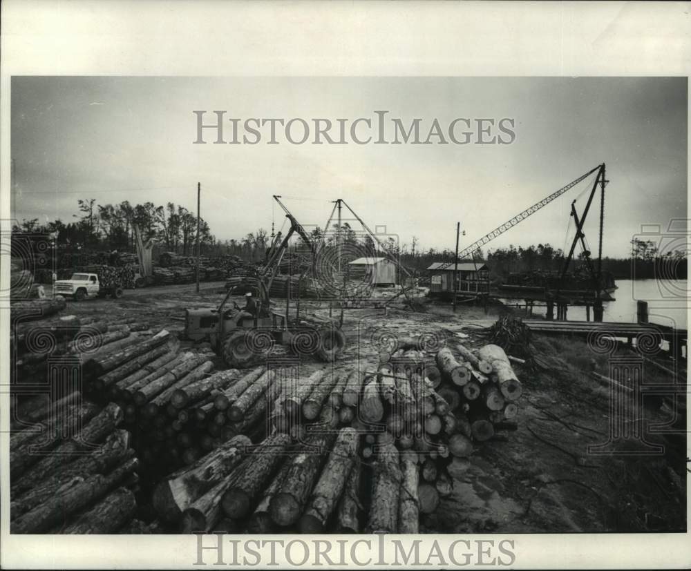 1970 Old site of the Edward Heins Lumber Co. sawmill, Jordan River - Historic Images