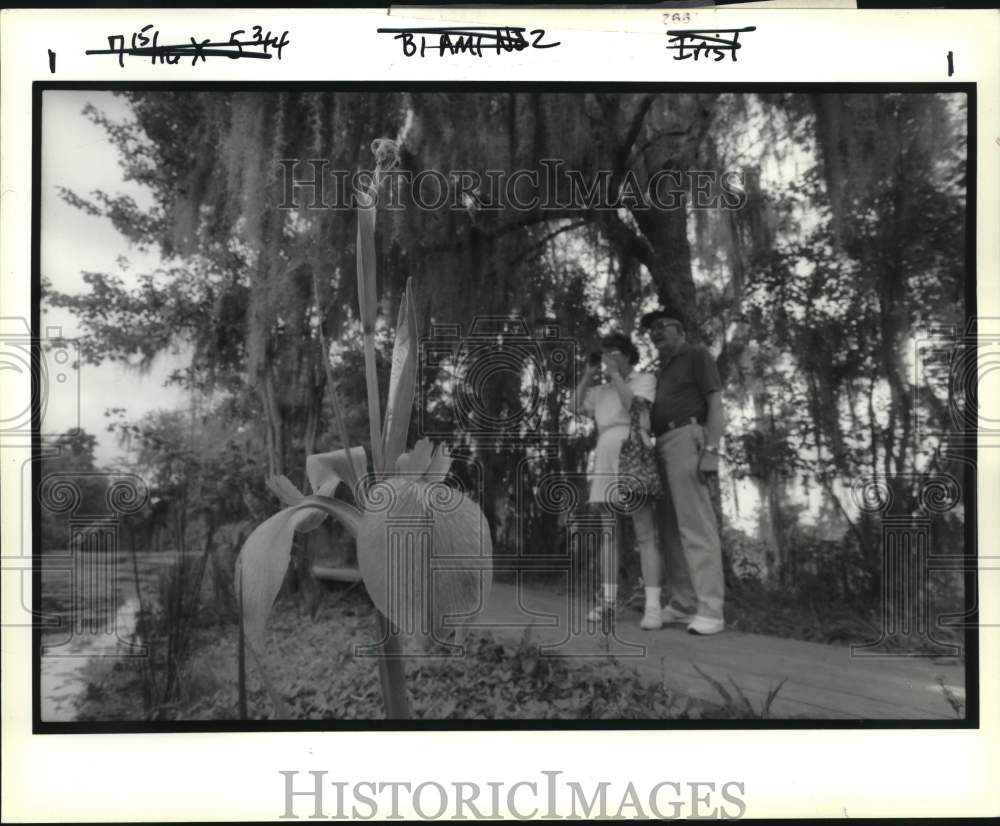 1992 Press Photo Ralph and Daisy Sulek enjoy the Jean Lafitte National Park - Historic Images