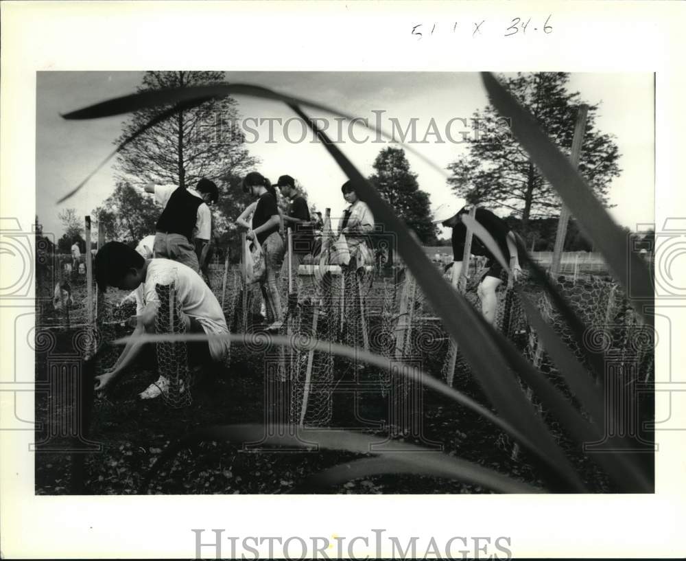 1992 Press Photo Bonnabel students working on Marsh Island at Lafreniere Park - Historic Images