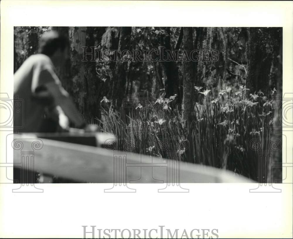 1994 Press Photo Visitor admires Jean Lafitte National Historical Park-Barataria - Historic Images