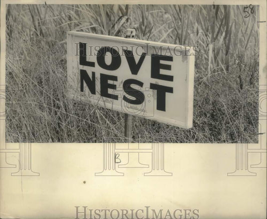 1959 Bird nesting area marked at Lake Catherine.-Historic Images
