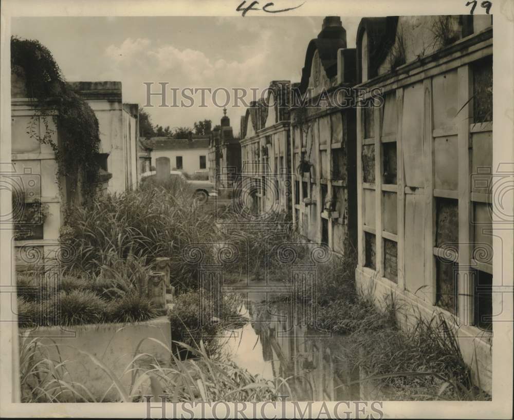 1959 Press Photo Condition of one of the oldest cemeteries, Lafayette No. 2-Historic Images