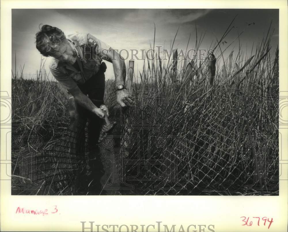 1991 Press Photo Jean Lafitte National Park Technicians Study Marshland - Historic Images