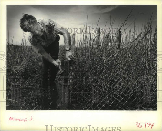 1991 Press Photo Jean Lafitte National Park Technicians Study Marshland - Historic Images