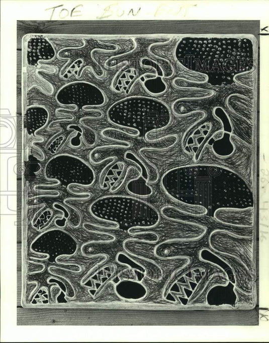 1987 Press Photo "The Toe Eaters" by Tom Ladousa at Duplantier Gallery. - Historic Images